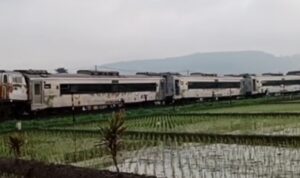 IMG_20240105_113940